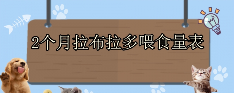 2个月拉布拉多喂食量表